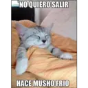 NO QUIERO SALIR
HACE MUSHO FRIO