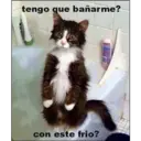 tengo que bañarme?
con este frio?