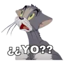 &&YO??