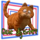 Garfield 🐈the🎥(Rose ✿♛) 14