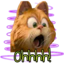 Garfield 🐈the🎥(Rose ✿♛) 27