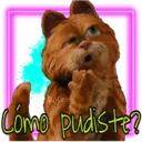 Garfield 🐈the🎥(Rose ✿♛) 3