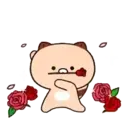 Kawaii 06  Movi 23