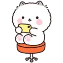 Lovely Fluffy Cat 2 4