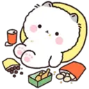 Lovely Fluffy Cat 2 29