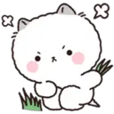 Lovely Fluffy Cat 2 8
