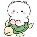 Lovely Fluffy Cat 2 24