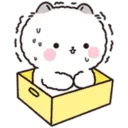 Lovely Fluffy Cat 2 13