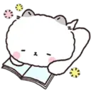 Lovely Fluffy Cat 2 23