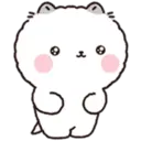 Lovely Fluffy Cat 2 14