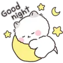 Lovely Fluffy Cat 2 3