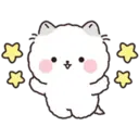 Lovely Fluffy Cat 2 30