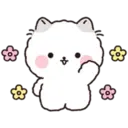 Lovely Fluffy Cat 2 19