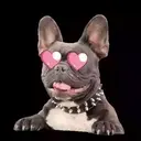 Perros Mixtos ♡ 28