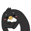 Pingüino ndut 9