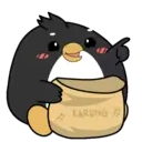 Pingüino ndut 30