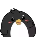 Pingüino ndut 24