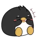 Pingüino ndut 8