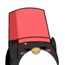 Pingüino ndut 16