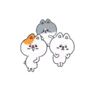 Trio Cats MOV 7