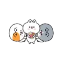 Trio Cats MOV 24