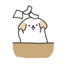 BOBA DOG 24