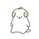 BOBA DOG 16