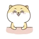 Cute Little Dog MOV 11
