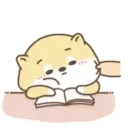 Cute Little Dog MOV 12