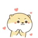 Cute Little Dog MOV 19
