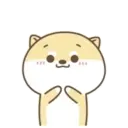 Cute Little Dog MOV 8