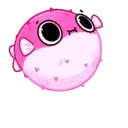 PINK FISH PufferMOV 16