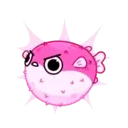 PINK FISH PufferMOV 9