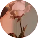 1  ️Whises  - Aesthetic Tumblr ️ 26