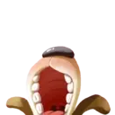 ḲḀẇḀḭ ṳẇṳ 18