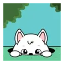 White dog mov 12