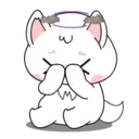 White dog mov 3