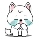 White dog mov 4