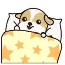 Buenas noches 1