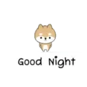 Buenas noches 16