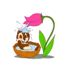 Chip N' Dale 3 MOV 16