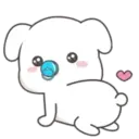 Lovely dogs 17