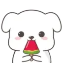 Lovely dogs 16