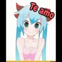 Lolis Mov 14