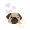 I LOVE 💗 PUG 🐾 2 (MOV) 19