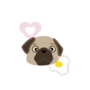 I LOVE 💗 PUG 🐾 2 (MOV) 20