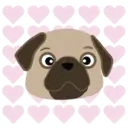 I LOVE 💗 PUG 🐾 2 (MOV) 5