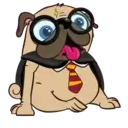 I LOVE 💗 PUG 🐾 2 (MOV) 8