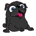 I LOVE 💗 PUG 🐾 2 (MOV) 3