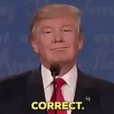 donald trump mov.️ 17
